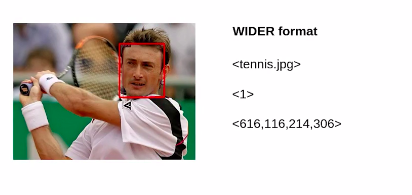 Converting the Annotations of the WIDER FACE Dataset as per Detectron2